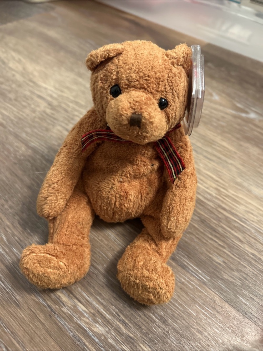 TY Beanie Baby - WOODY the Bear